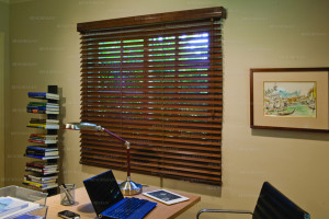 Columbia Window Blinds