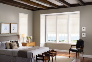 interior shutters and shades, Columbia Window Covering, Columbia Window Shades